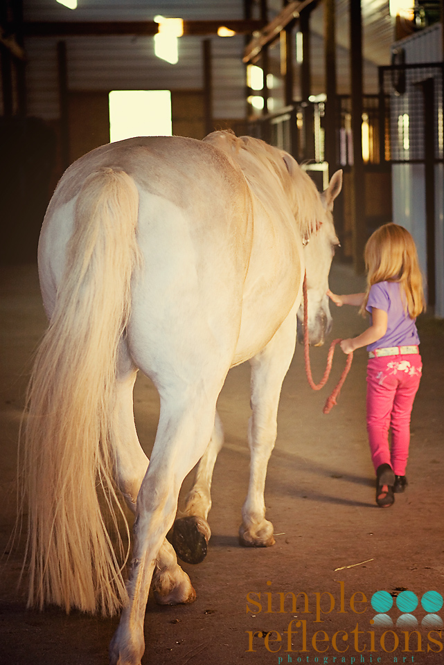 girl and horse bozeman family portraits